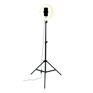 Intempo Standing selfie light